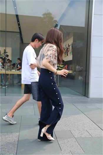 猫咪永久找到回家的路1.12