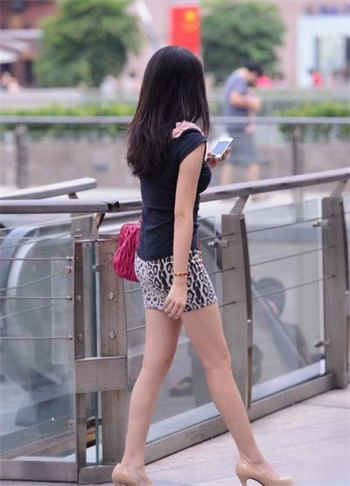 伪装学渣广播剧资源