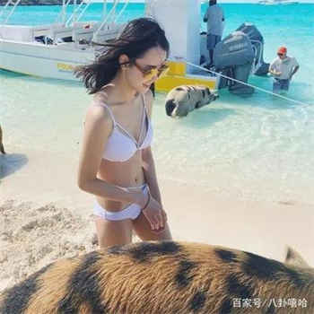 慕安然叶少的二婚新妻
