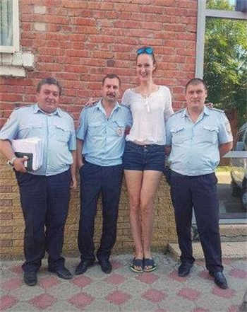 少帅夫人又不乖了
