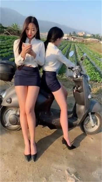 网拍接单平台app有哪些