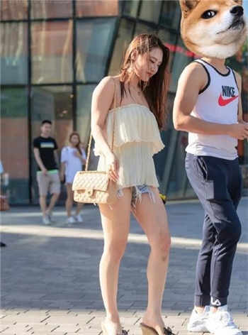 葫芦娃会员账号共享