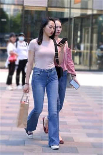 switch的sw系列