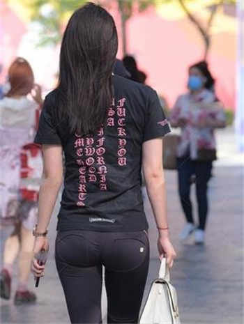 极乱家族中文版百度云
